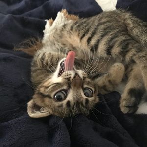 Meet your Posher, Robin